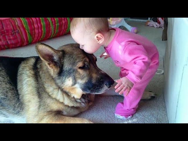 When you are my little friend - Cute Moments Dog and Human