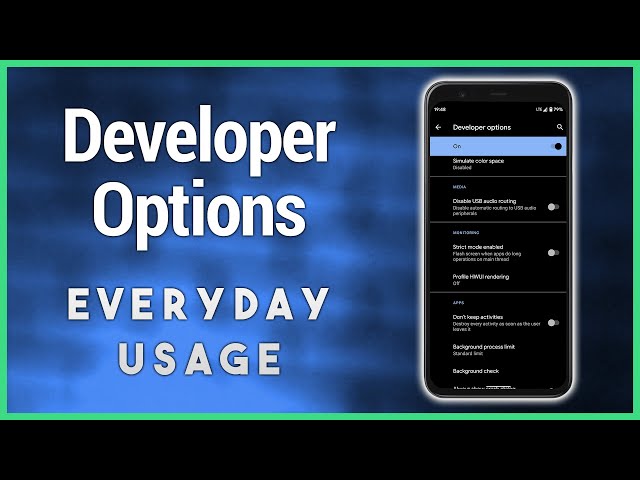 Developer Options for Everyday Users