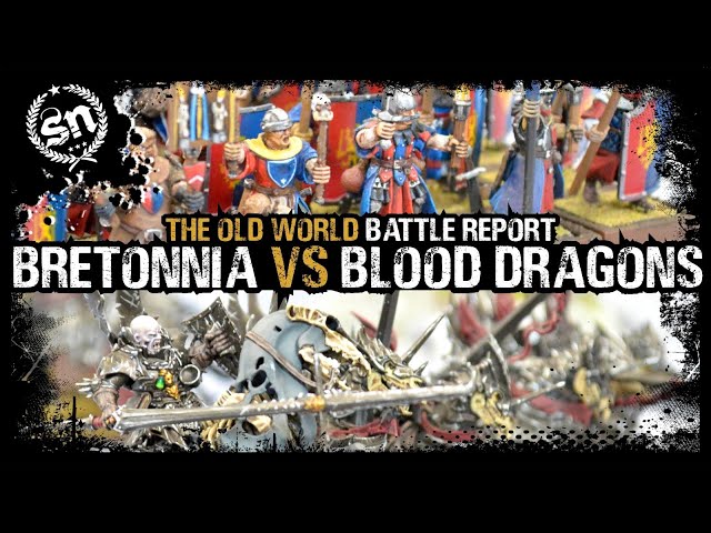 Kingdom of Bretonnia vs Vampire Counts - The Old World (Battle Report)