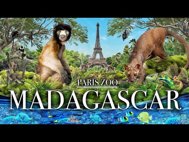 Zoo Tours: Madagascar | Paris Zoological Park