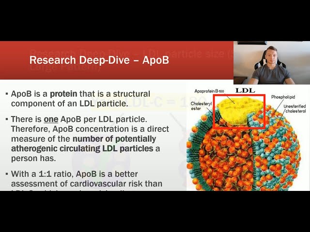 Surprised by Your LDL-Cholesterol Results? Watch This Video