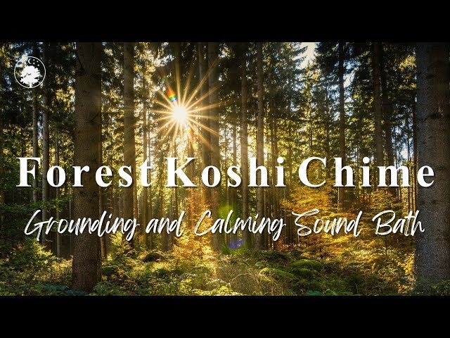 Forest Koshi Chime | Gentle & Grounding Sound Bath 🌳🍃 | 432 Hz