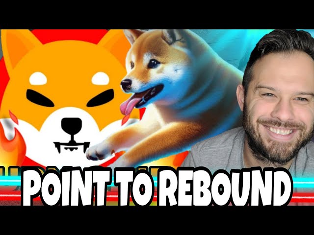 Shiba Inu Coin | The Analytics Point To A Rebound! Dogeverse Building Bridging Technology!