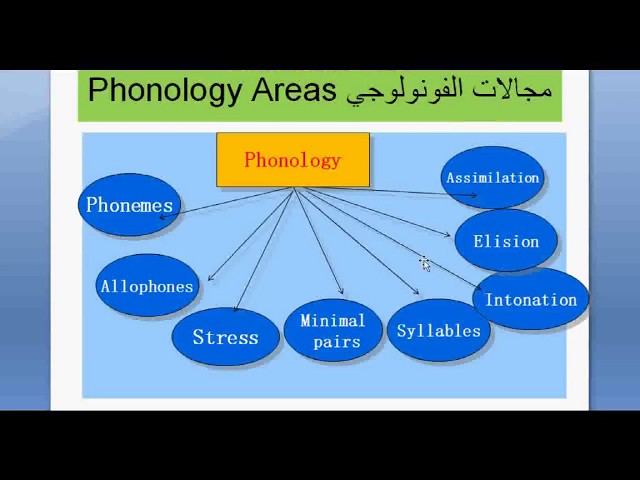 Phonology Lesson 1