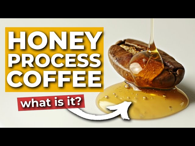 WTF is Honey Processed Coffee?