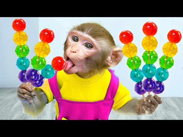 KiKi Monkey try to get Miniature Rainbow Jelly from vending machine | KUDO ANIMAL KIKI