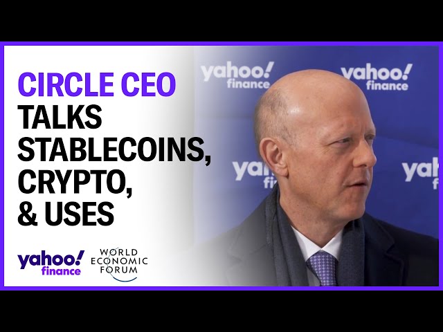 Crypto, stablecoins, payment systems, and regulation: Circle CEO weighs in from Davos