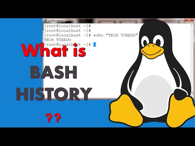 Linux in 3 mins - What is BASH HISTORY ?
