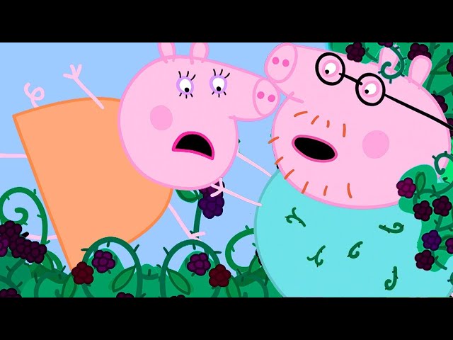 Boo Boo Moments at the Blackberry Bush | Family Kids Cartoon