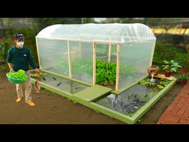 DIY cheap greenhouse combined with aquarium for my wife | Organic vegetables