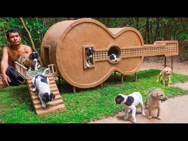 Dog rescue and build Guitar Dog House   Build House for Puppies
