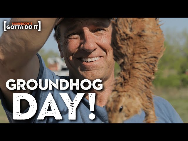Mike Rowe: How to Catch A Prairie Dog (Without LOSING Your Face) | Somebody's Gotta Do It