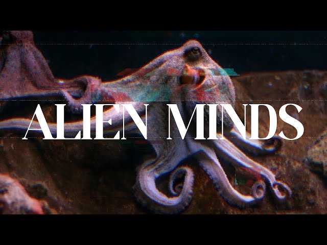 Alien Minds: The Octopus and Animal Consciousness