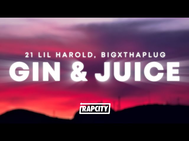 21 Lil Harold - Gin & Juice (Lyrics) ft. BigXthaPlug