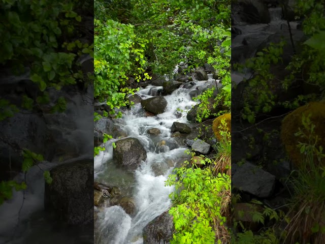 The Amazing Rivers and Streams of Juneau Alaska