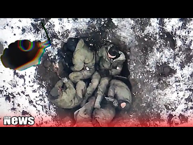 Canned Marines. Mince from special forces🔥Ukraine war footage