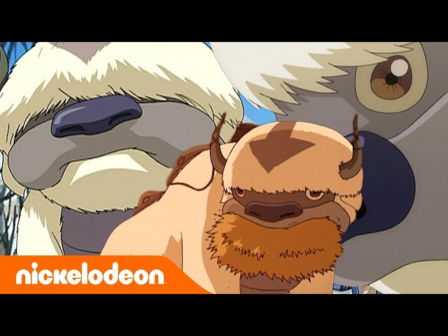 Avatar: The Last Airbender | Appa si Bison Terbang | Nickelodeon Bahasa