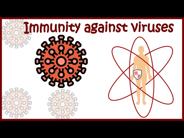 Immunity against viruses