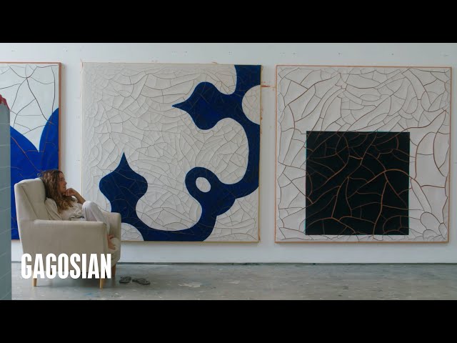 Adriana Varejão: In the Studio | Artist Spotlight | Gagosian