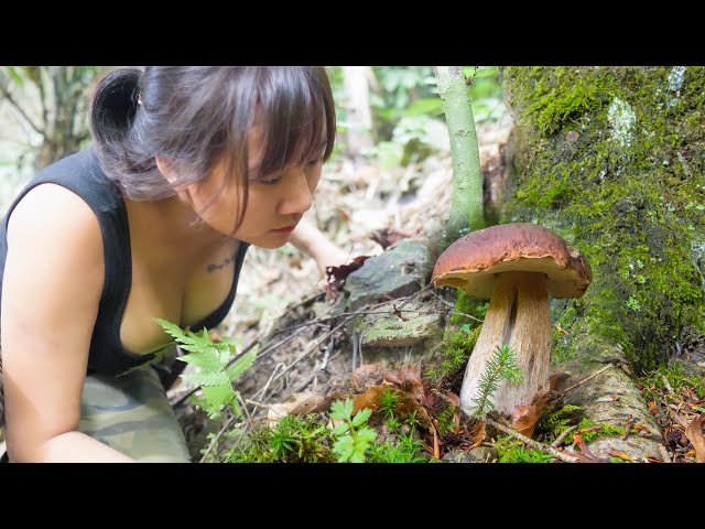 5 Days Solo Bushcraft - Emergency Shelter Under a Big Rock/ Picking Wild Mushrooms and Cooking - P1