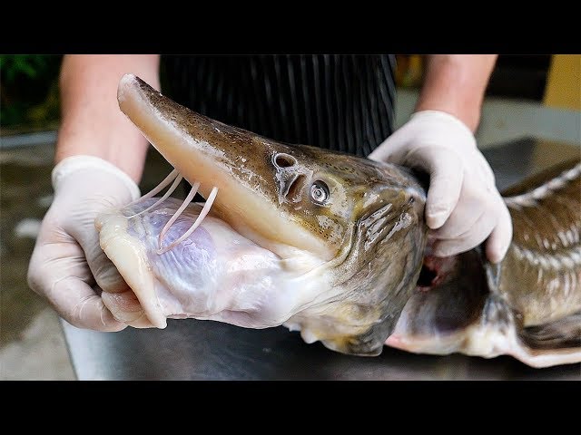 Thai Food - STURGEON FISH & CHIPS Bangkok Seafood Thailand