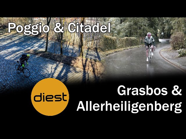 Grasbos (Poggio) & Allerheiligenberg (Citadel) @ Diest