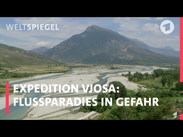 Expedition Vjosa: Europas letztes Flussparadies in Gefahr  | Weltspiegel