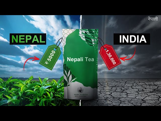 Why Nepali Tea can make us RICH?