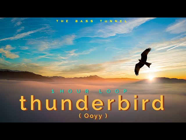 Ooyy - Thunderbird (No Bass Boost) [1 HOUR LOOP]
