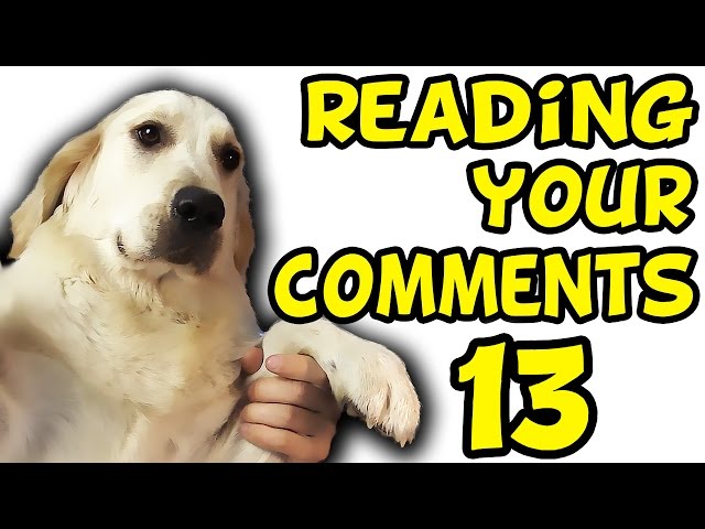 DILDO BUYING HABITS | Reading Your Comments #13