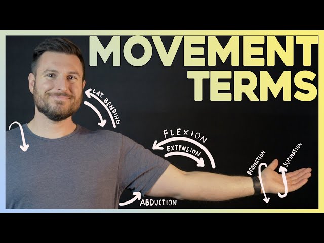 Easiest Way to Remember Movement Terms | Corporis