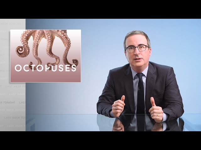 Octopuses: Last Week Tonight with John Oliver (Web Exclusive)