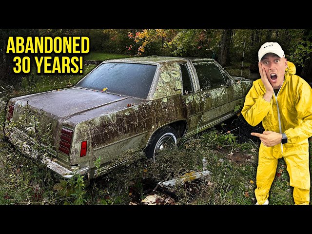 First Wash in 30 Years: ABANDONED in Field Crown Victoria! | Car Detailing Restoration