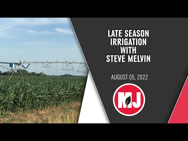 Late Season Irrigation | Steve Melvin | August 05, 2022