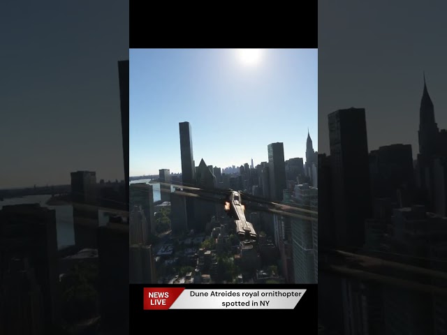 Flight Simulator 2020 - POI's - Dune Ornithopter - Spotted in NY