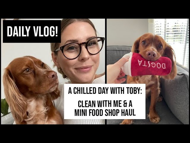 Daily Vlog: Clean with me + a mini food shop haul. Spend a chilled day with me and my dog | xameliax