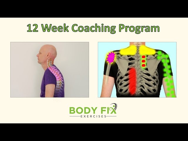 The 'Posture & Upper Body Health Solution' 12 week coaching program, by Dr Stefan Becker (chiro.)