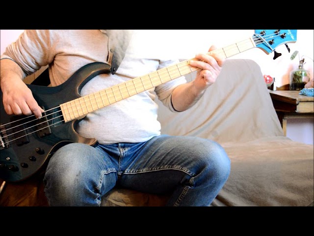Stevie Ray Vaughan  Cold shot - bass cover