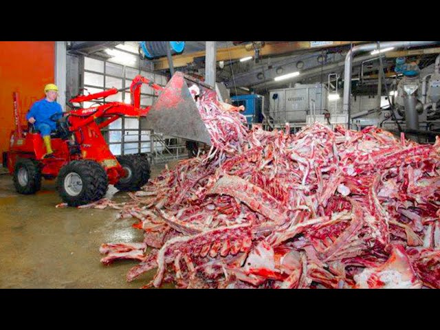 You’ll Never Eat This Again Knowing How Its Made