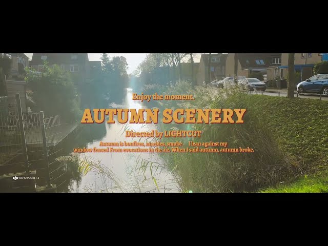 Scenic Dutch Autumn | DJI Osmo Pocket 3 | 4K