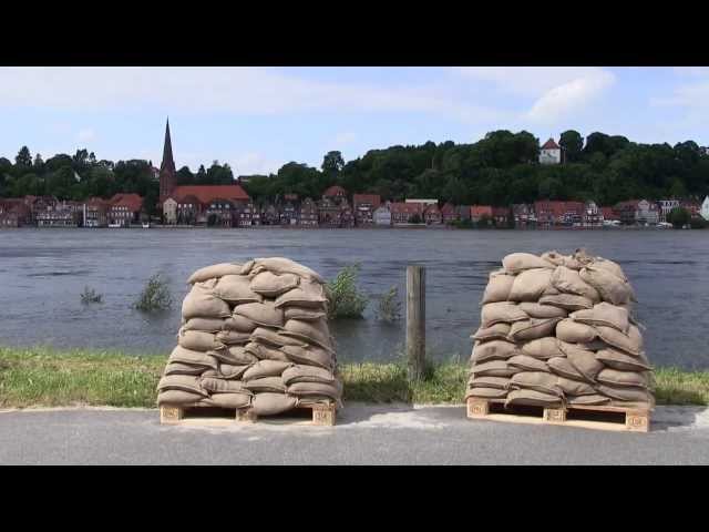Lauenburg - Elbe-Hochwasser am 16. Juni 2013 / Hohnstorf Pegel 8.86 Meter