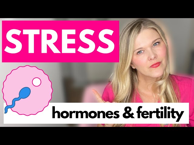 Stress, Fertility, and Hormones: Does Stress Impact Your Fertility?