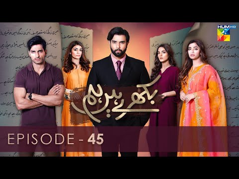 Bikhray Hain Hum - Episode 45 - Noor Hassan - Nawal Saeed - Zoya Nasir - 30th November 2022 - HUM TV