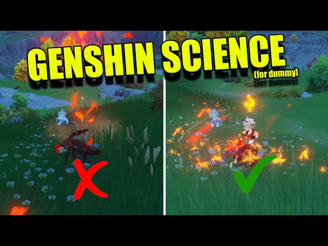 Genshin SCIENCE!  Elemental gauge theory!(you NEED to know!)