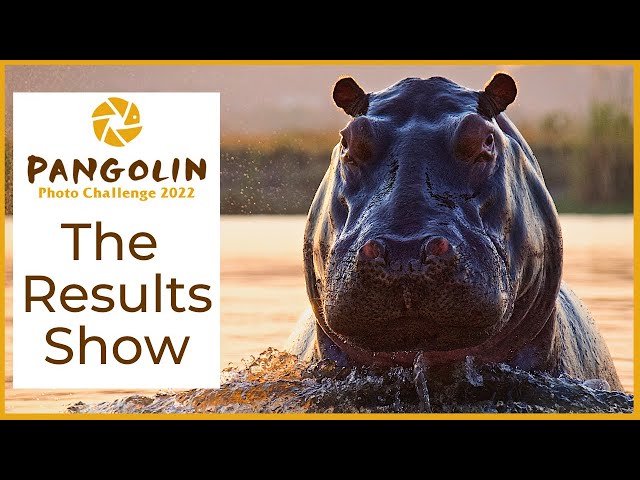 The 2022 Pangolin Photo Challenge Results Show