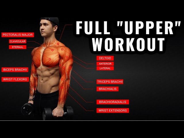 The Best Science-Based Upper Body Workout for Growth (Chest/Back/Arms/Shoulders)