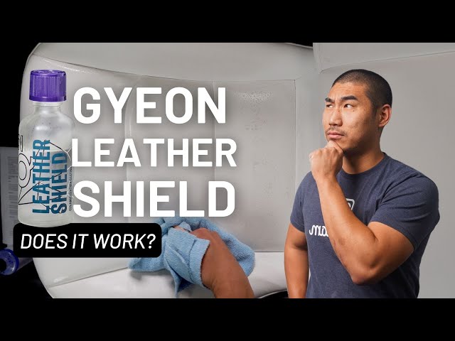 5 Months After Applying Gyeon Leather Shield on White Tesla Seats - TESBROS