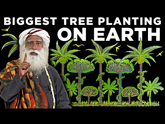 Sadhguru's Plan to plant 2.42 BILLION trees