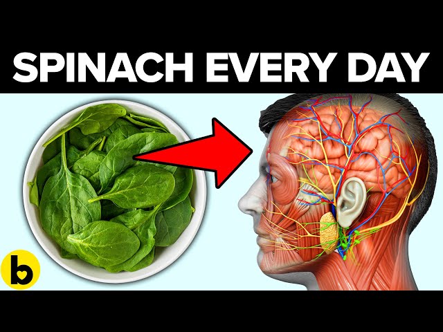 Here’s What Happens When You Eat Spinach Every Day