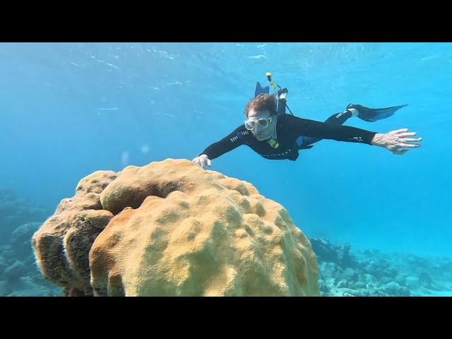 Bahamas - The Disappearing Islands: On Assignment | ITV News